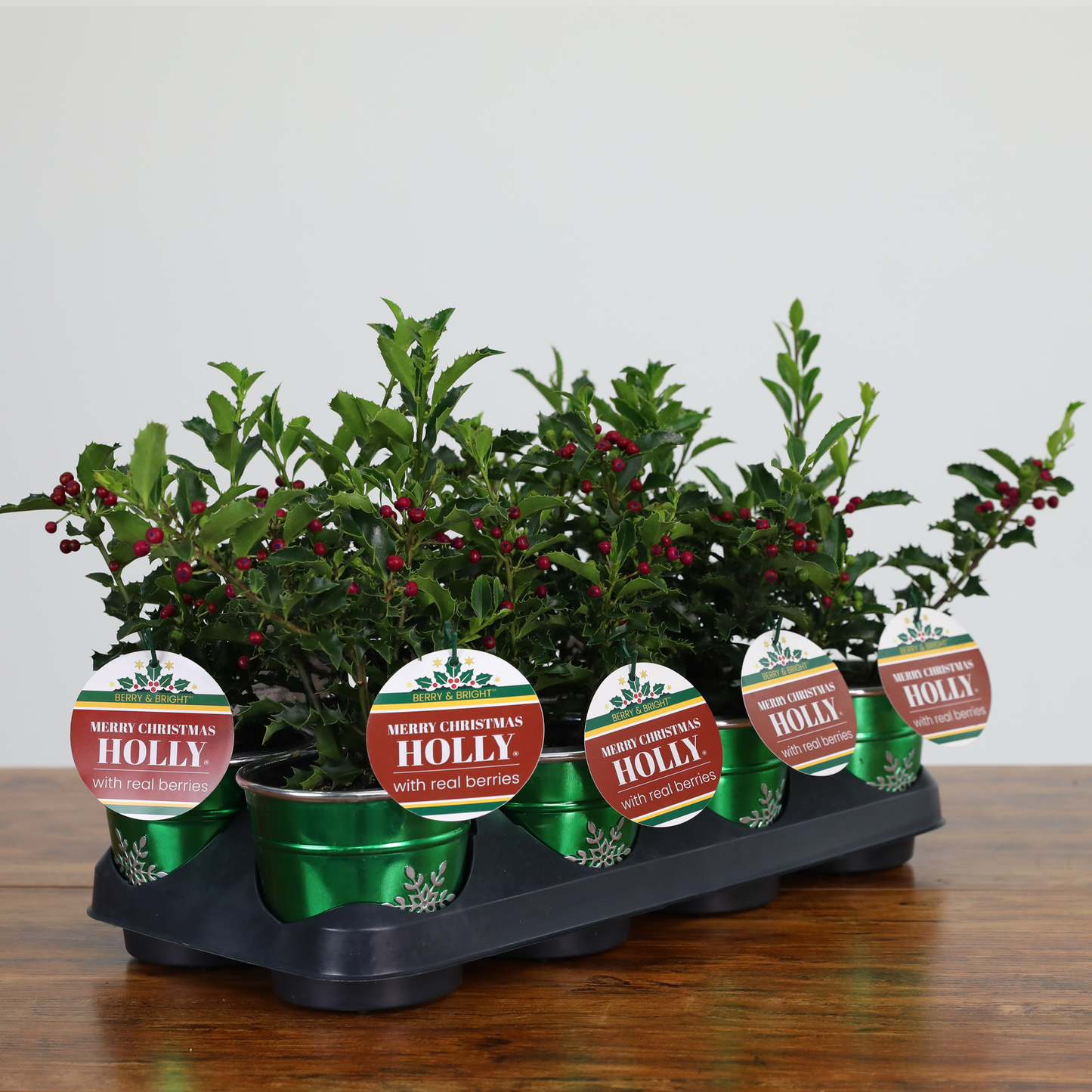 Merry Christmas Holly® (8-Pack)